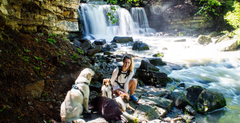 Group Hiking with Rehab Fur Your Pet