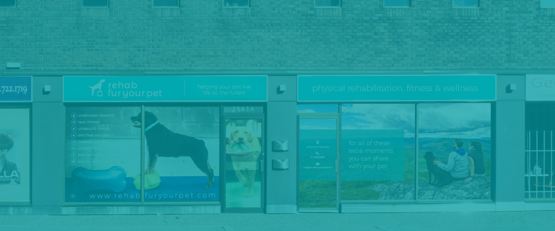 Ottawa's Independent Animal Rehabilitation, Fitness and Wellness Centre