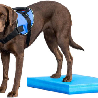 FitPAWS® Balance Pad