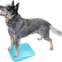 FitPAWS® Balance Ramp