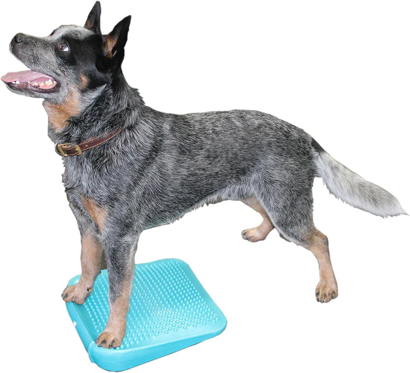 FitPAWS® Balance Ramp