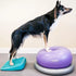 FitPAWS® Balance Ramp