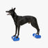 FitPAWS® K9FITbone™ MINI (set of 2)