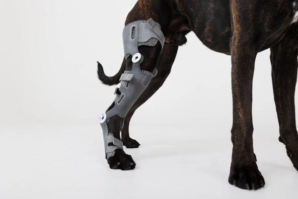 template--24177580966170__image_with_text_QBamyt